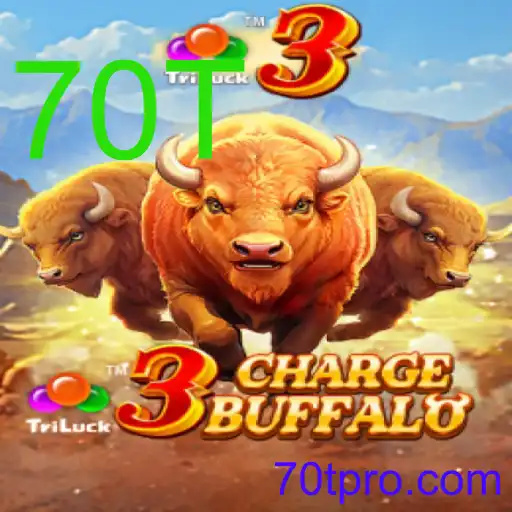 3ChargeBuffalo